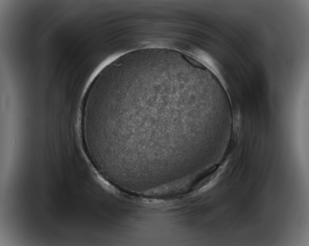X0000084541149200703021438