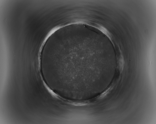 X0000084541151200703021438