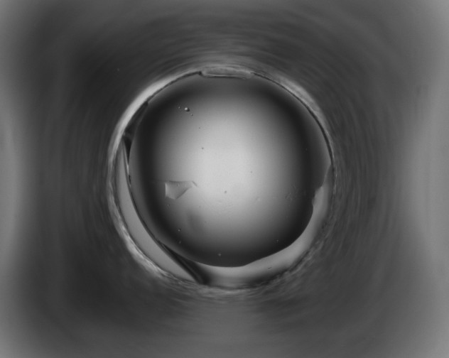 X0000084541152200703021438