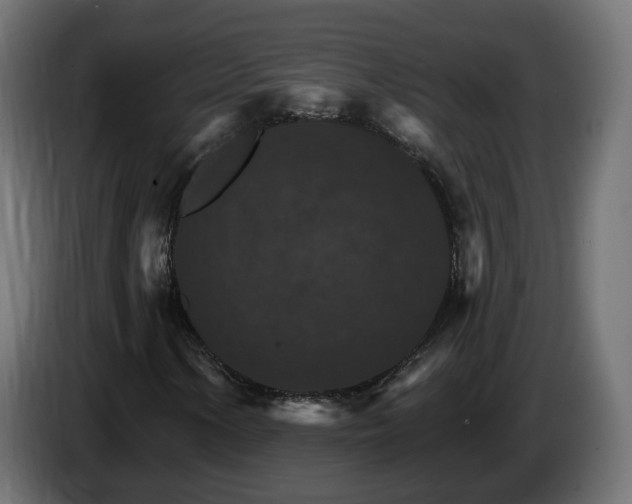 X0000084541154200703021437