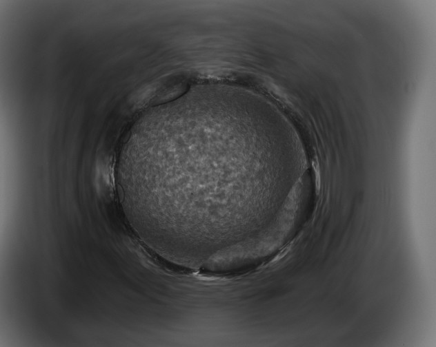 X0000084541155200703021437