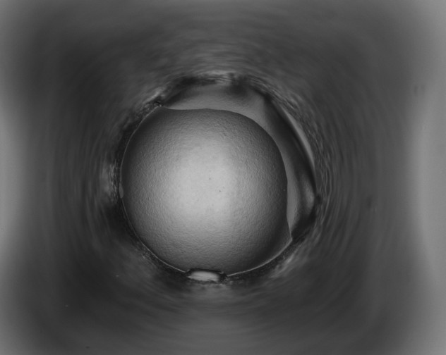 X0000084541156200703021437