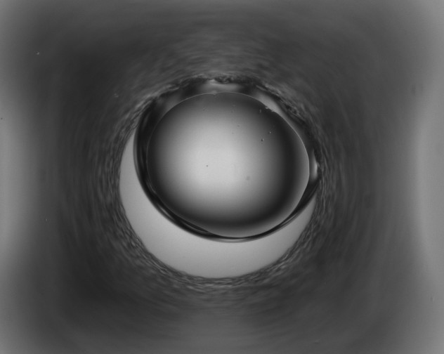 X0000084541157200703021437