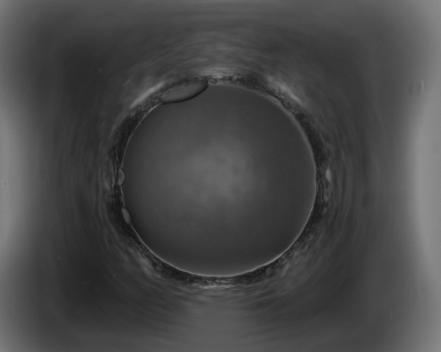 X0000084541158200703021437