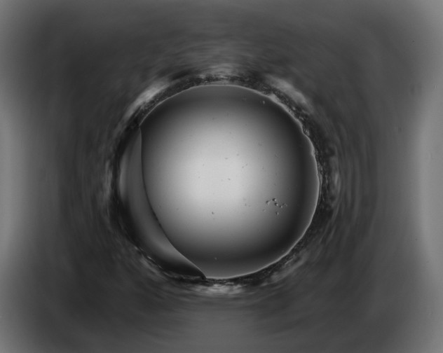 X0000084541160200703021437