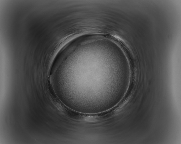 X0000084541161200703021437
