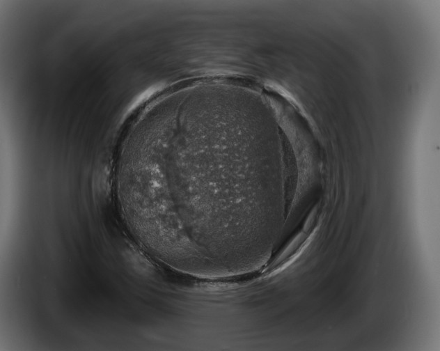 X0000084541163200703021437
