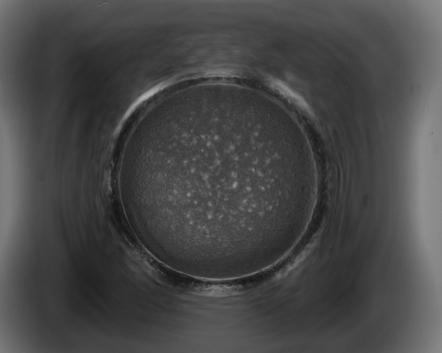 X0000084541166200703021437