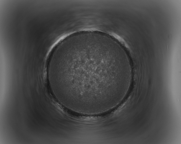 X0000084541167200703021437