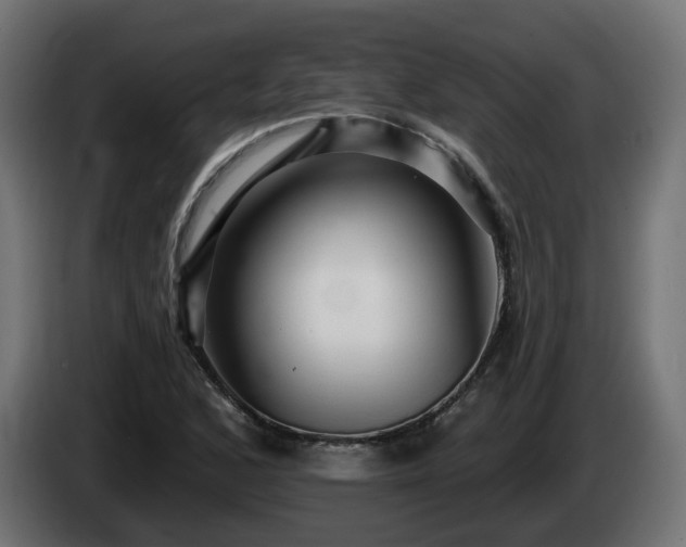 X0000084541168200703021437