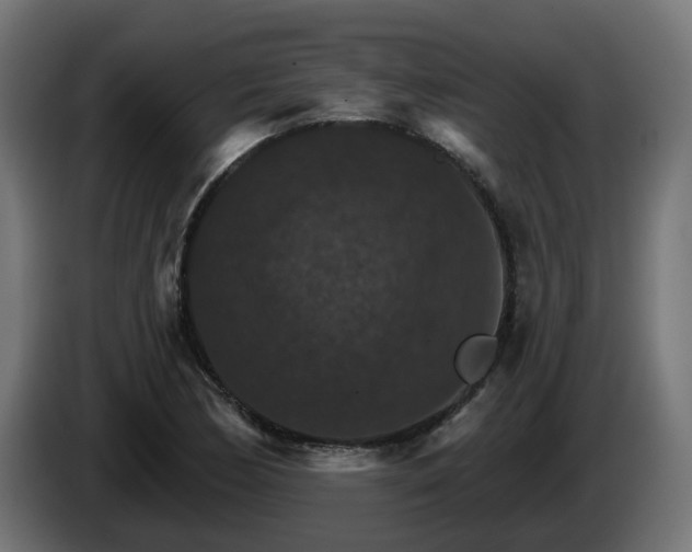 X0000084541170200703021437