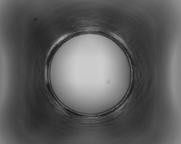 X0000084541171200703021437