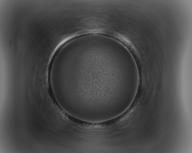 X0000084541174200703021437