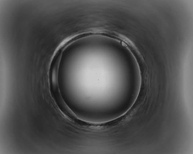 X0000084541176200703021437