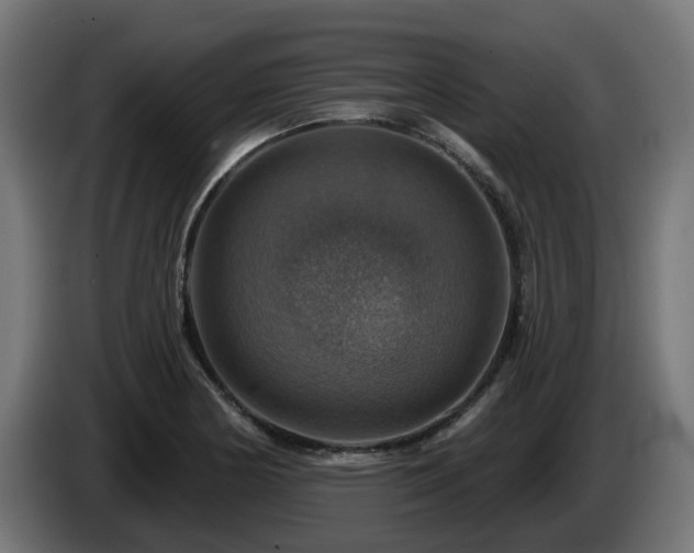 X0000084541178200703021437