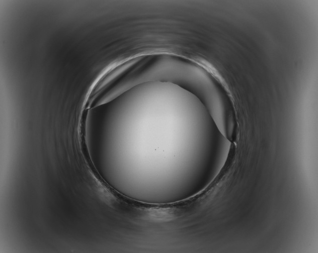 X0000084541181200703021437