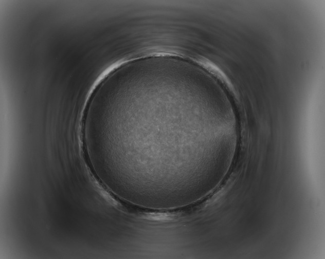 X0000084541182200703021437