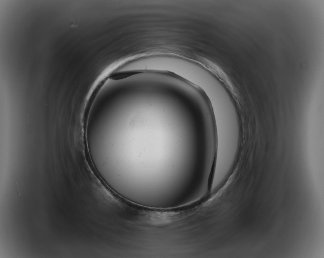 X0000084541184200703021437