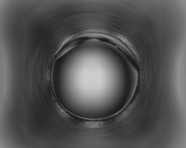 X0000084541185200703021437