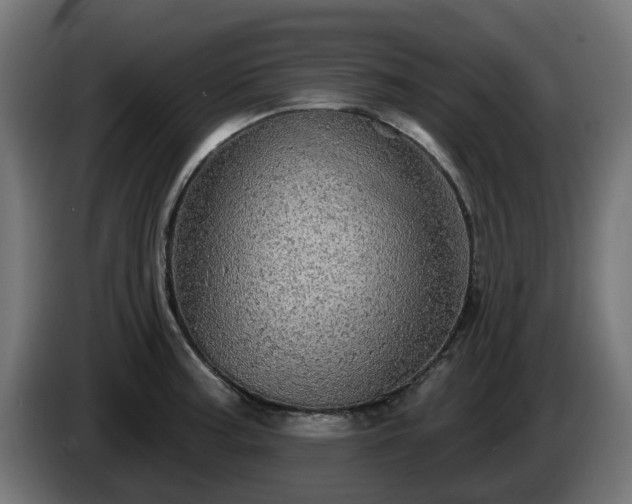X0000084541187200703021437