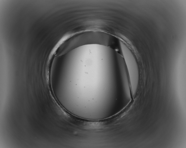 X0000084541188200703021437