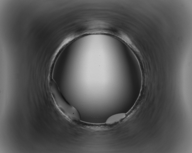 X0000084541189200703021437