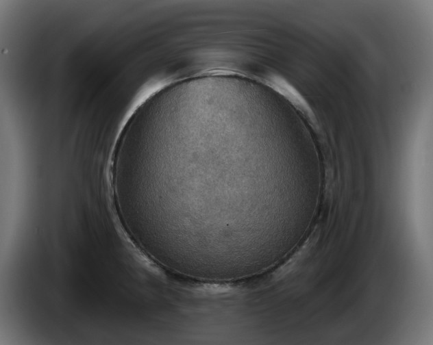 X0000084541190200703021437