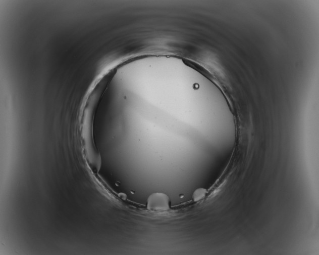 X0000084541192200703021437
