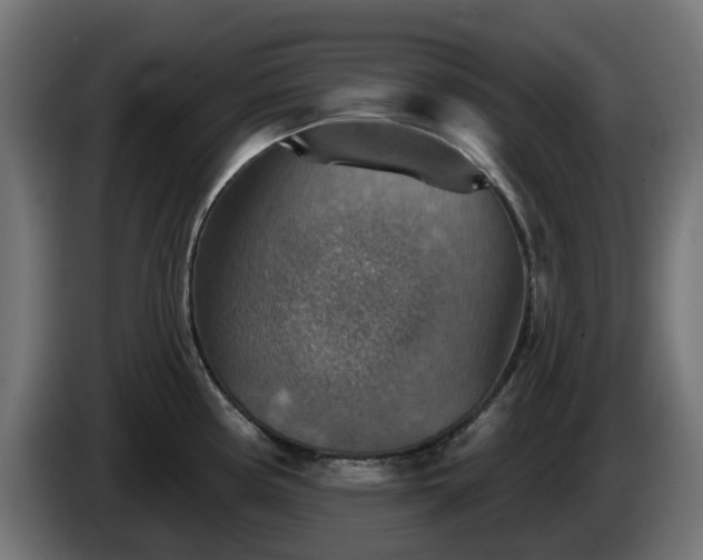 X0000084541194200703021436