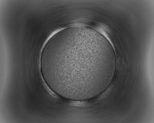 X0000084541195200703021436
