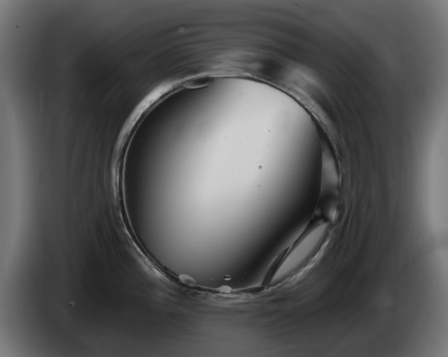 X0000084541196200703021436
