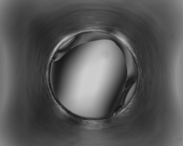X0000084541197200703021436