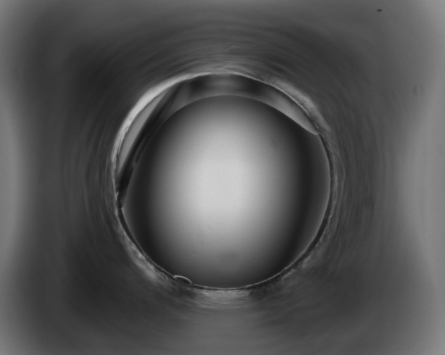 X0000084541200200703021436