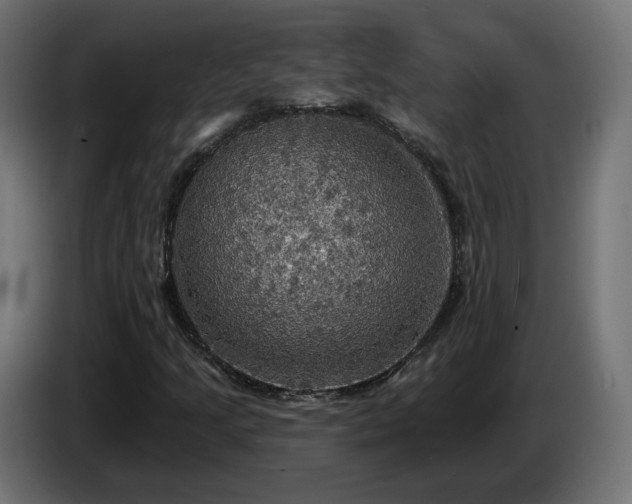 X0000084541205200703021436