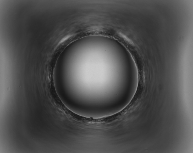 X0000084541206200703021436