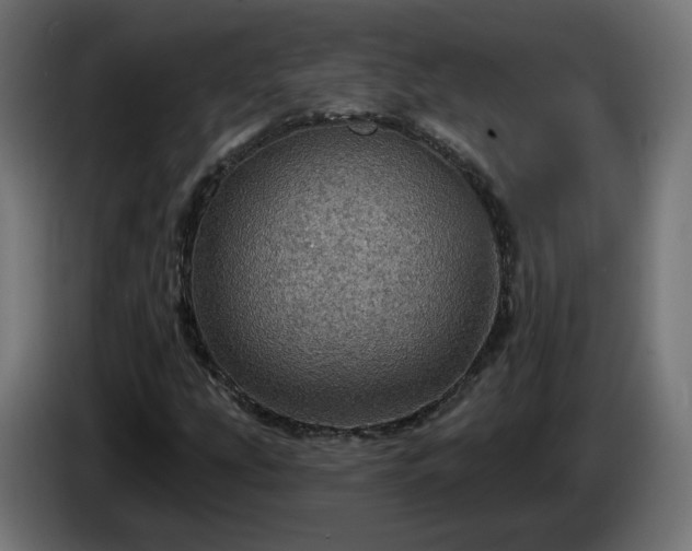 X0000084541207200703021436