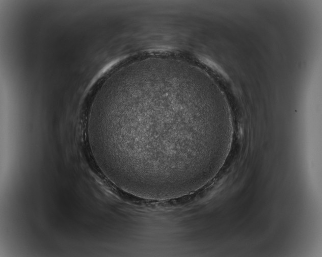 X0000084541208200703021436