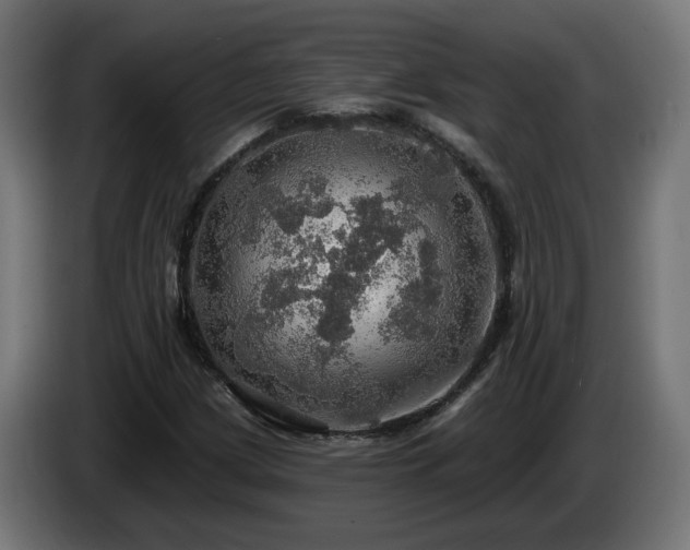 X0000084541209200703021436