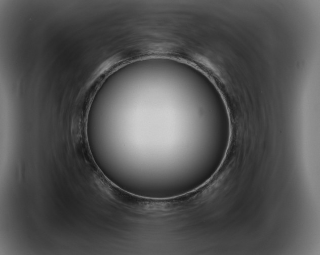 X0000084541211200703021436