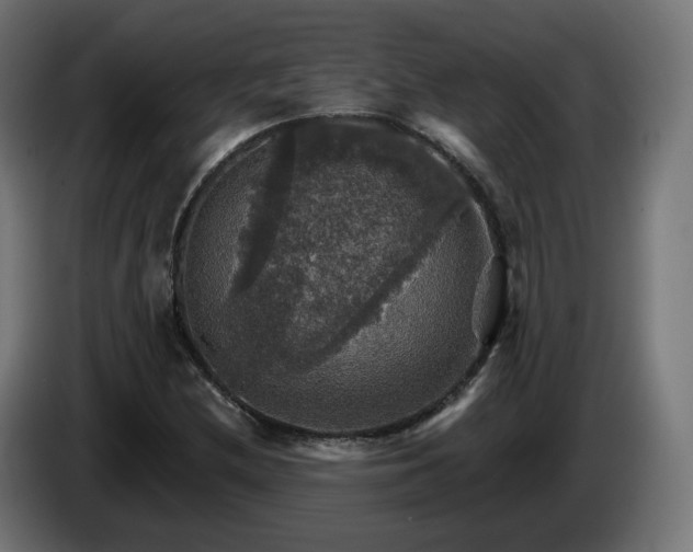 X0000084541212200703021436