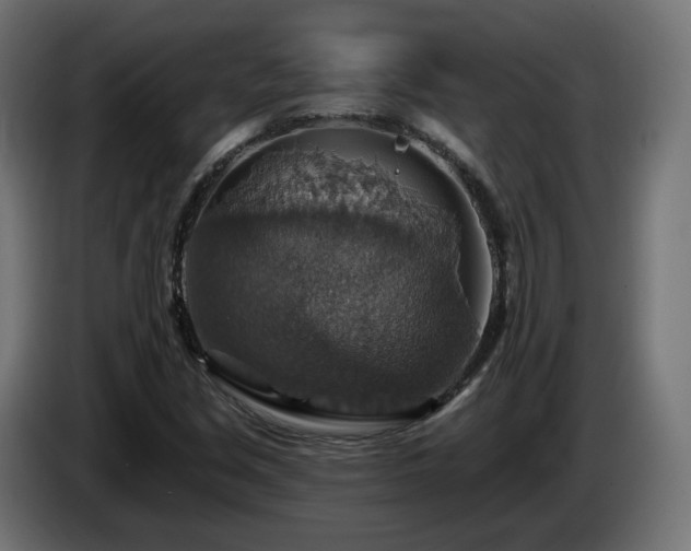 X0000084541213200703021436