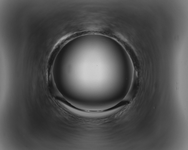 X0000084541214200703021436