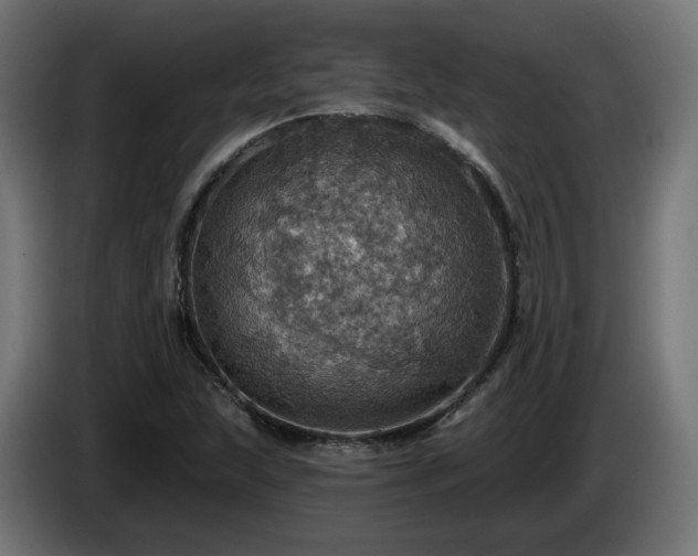 X0000084541215200703021436