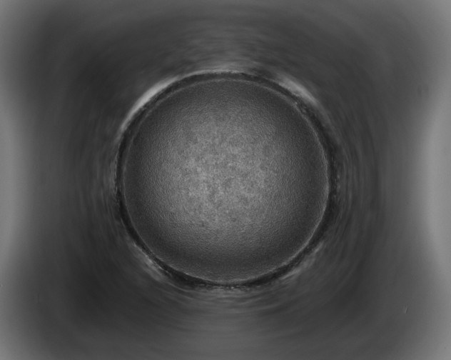 X0000084541216200703021436