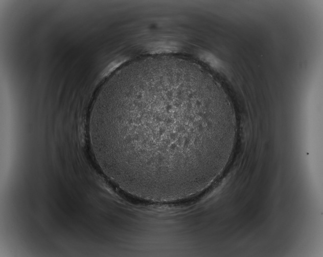 X0000084541217200703021436