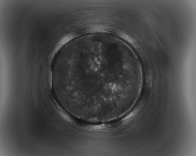 X0000084541219200703021436