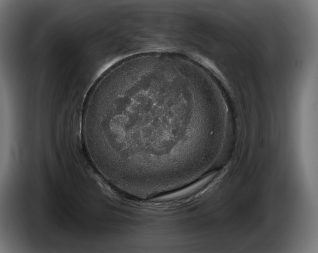 X0000084541220200703021436