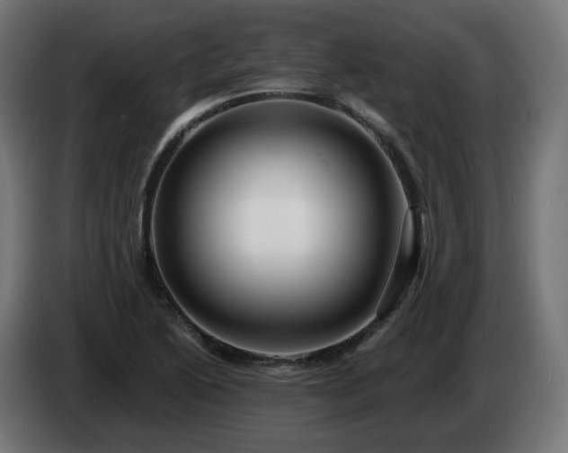 X0000084541222200703021436
