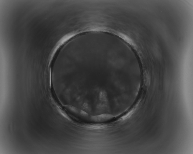X0000084541223200703021436