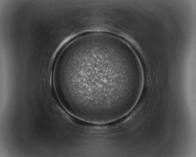 X0000084541224200703021436